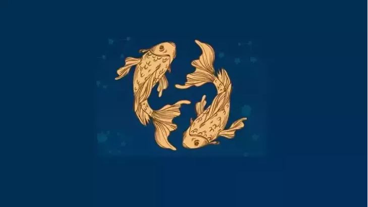 Her zaman 4 ayak üstüne düşen burçlar hangileri? - Resim : 3