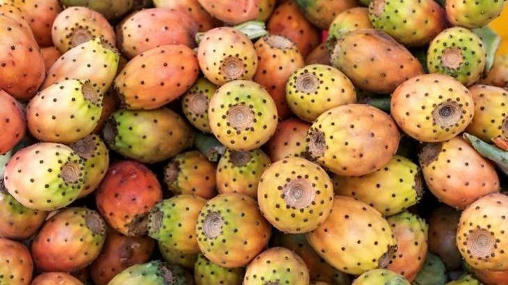 Tanesi 25 TL'den kapış kapış satılıyor: Sıcak havalarda talep bitmiyor - Resim: 3