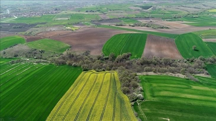 328 bin TL’ye arsalar kapış kapış satılıyor: Milyonlara tapu imkanı - Resim: 5