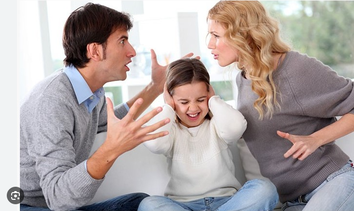 Boşanmalar patladı: Aile yapısını iktidarın kendisi bozuyor - Resim : 1