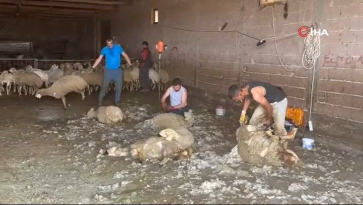 Ayda 250 bin TL kazanıyorlar: Bu mesleği yapanları bulmak zorlaştı - Resim: 3
