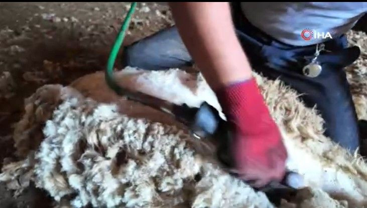 Ayda 250 bin TL kazanıyorlar: Bu mesleği yapanları bulmak zorlaştı - Resim: 4