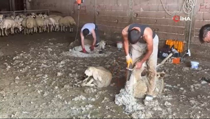 Ayda 250 bin TL kazanıyorlar: Bu mesleği yapanları bulmak zorlaştı - Resim: 5