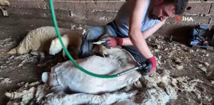 Ayda 250 bin TL kazanıyorlar: Bu mesleği yapanları bulmak zorlaştı - Resim: 12