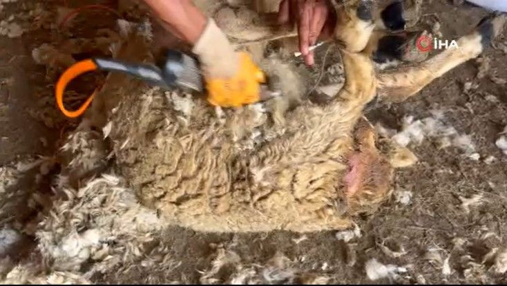 Ayda 250 bin TL kazanıyorlar: Bu mesleği yapanları bulmak zorlaştı - Resim: 6