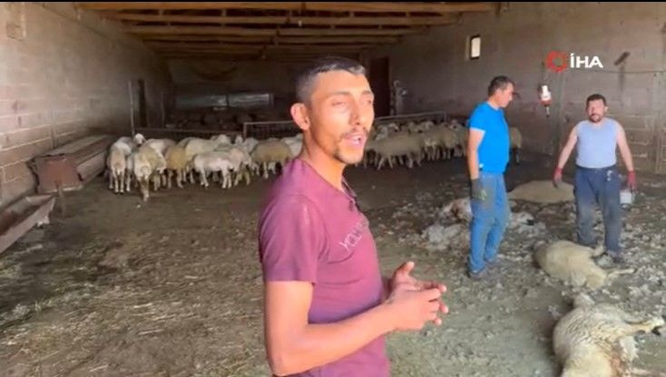 Ayda 250 bin TL kazanıyorlar: Bu mesleği yapanları bulmak zorlaştı - Resim: 7