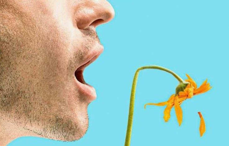 Ağız kokusunu anında sıfırlayan 5 etkili yöntem: Nefesiniz mis gibi kokacak - Resim: 1