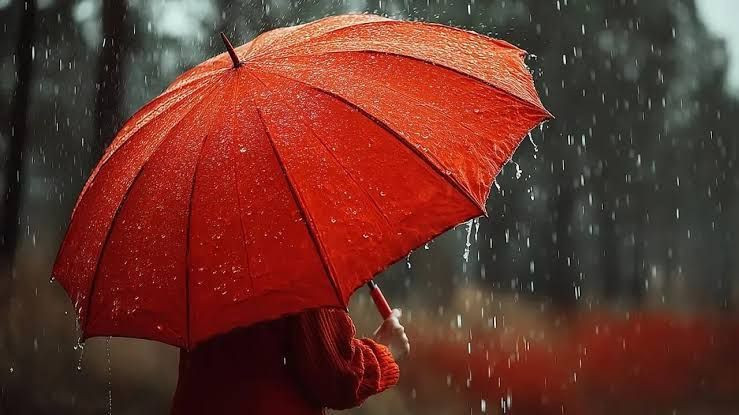 AKOM saat vererek uyardı: Gök gürültülü sağanak yağış geliyor - Resim: 6
