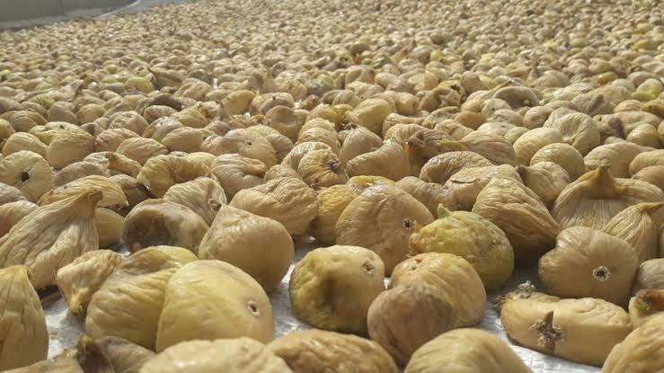 Kilosu 600 TL'den alıcı buldu: Bu ürün altınla yarışıyor,ilk hasadı başladı - Resim: 7