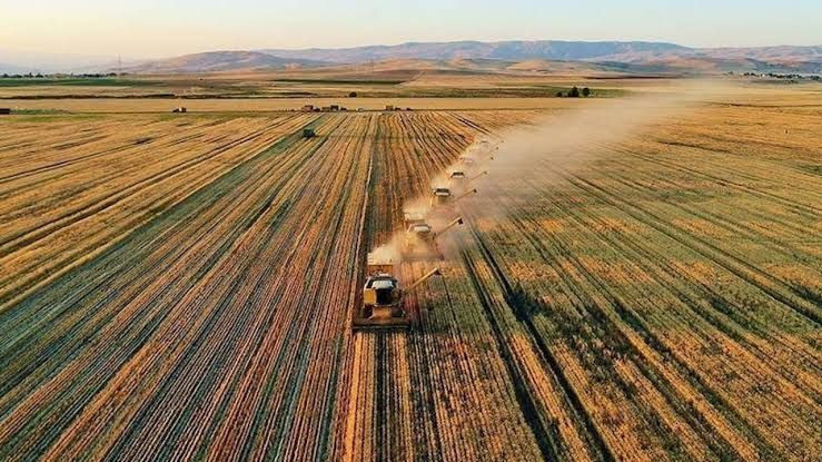 Türkiye'nin ünlü gıda firması için iflas kararı: En büyük 500'e girmişti - Resim: 4
