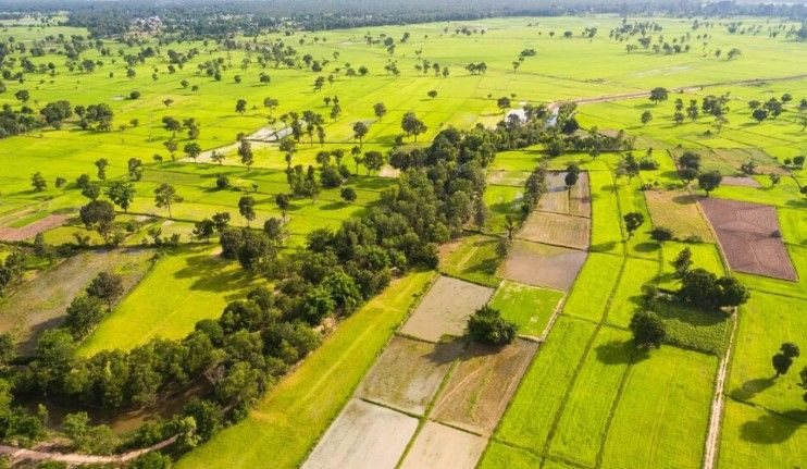 Maliye harekete geçti: Arsa, ev, tarla, iş yeri farketmez; başvurmayan hakkını kaybedecek - Resim: 3