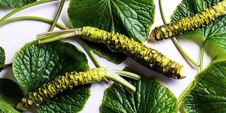 Kilosu 5 bin dolara leblebi gibi satıyor: Bu hasadı yapan paraya para demiyor - Resim: 7