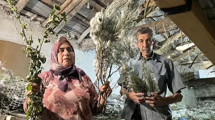 Evinin altında servet üretiyor: Kilosu 2 bin 300 liradan satılıyor - Resim: 3