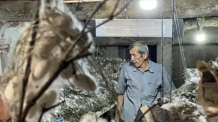 Evinin altında servet üretiyor: Kilosu 2 bin 300 liradan satılıyor - Resim: 1