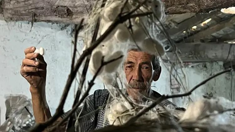 Evinin altında servet üretiyor: Kilosu 2 bin 300 liradan satılıyor - Resim: 4