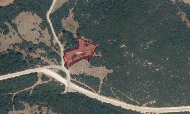 Bursa’nın toprağı satılıyor - Resim: 2