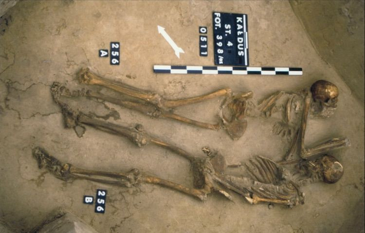 ‘Vampir Mezarları’ gün yüzüne çıkarıldı - Resim: 17