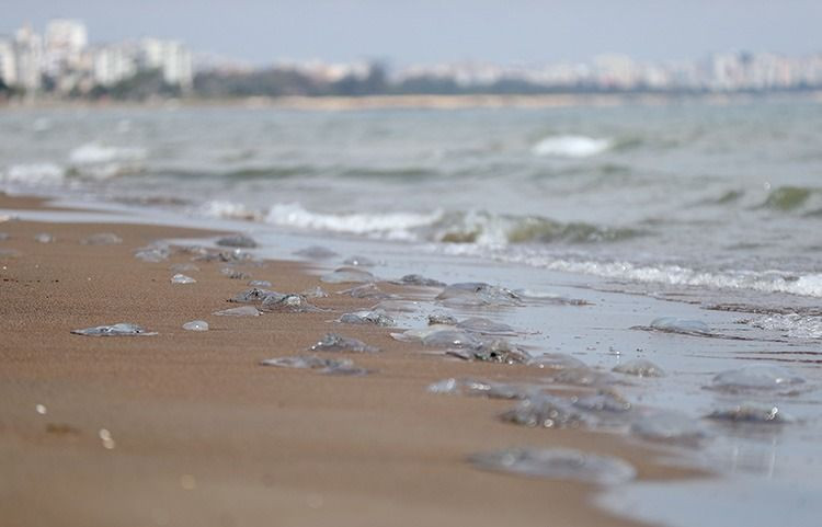 Türkiye’de bu şehirler sular altında kalacak - Resim: 7