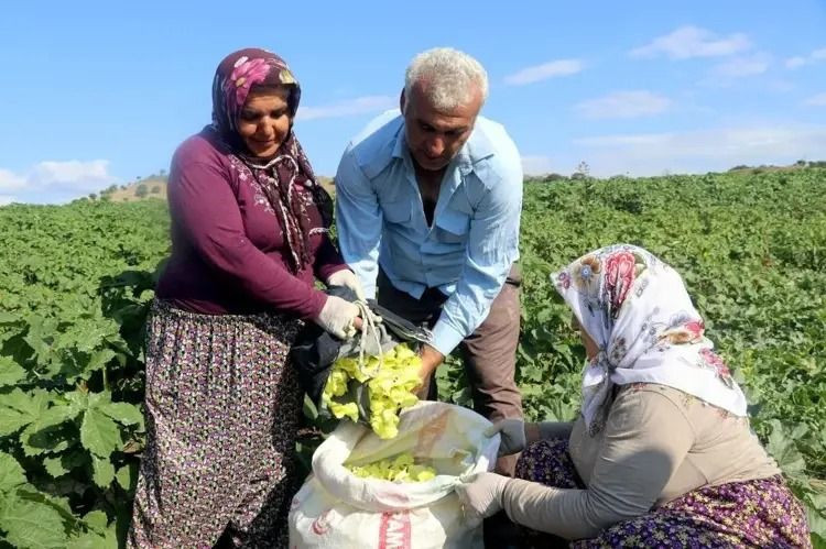 Kilosu 3 bin TL'ye çıktı: Vatandaş artık gramla almaya başladı - Resim: 1