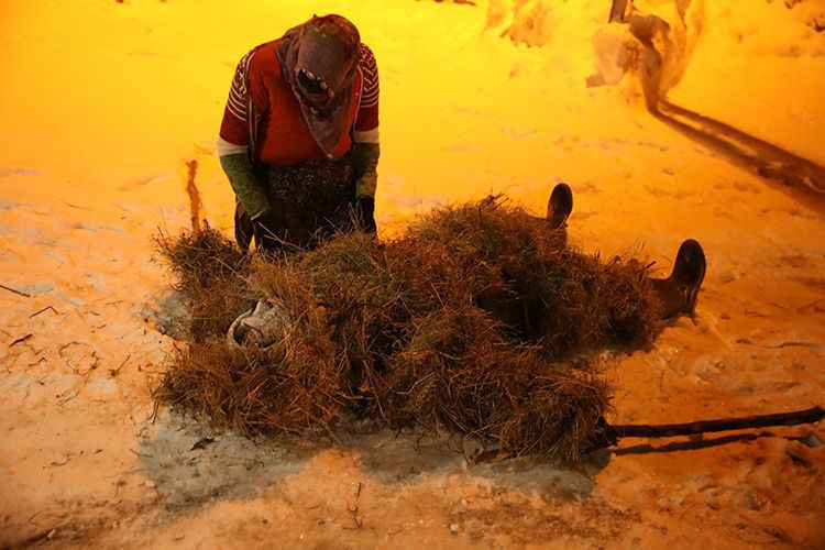 Van köylerinde kışın en renkli oyunu: Köse-Gelin diriliyor - Resim: 20