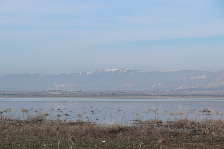 Kuruyan göl mucizesi: Türkiye’nin kaybolan Kuş Cenneti yeniden diriliyor - Resim : 1