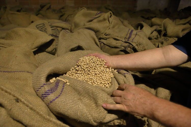 Leblebi gerçekten kilo yapar mı? Diyetin dostu mu, düşmanı mı? - Resim: 10