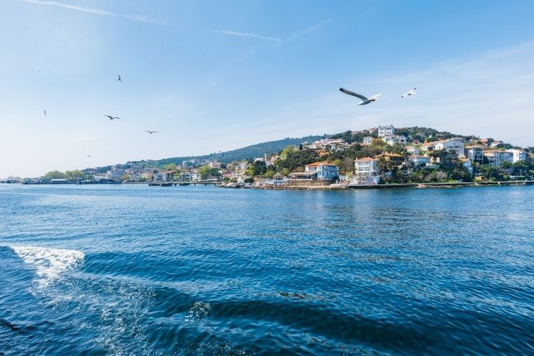 İstanbul’un sular altında kalacağı tarihi verdiler: Deniz 2 kilometre içeri girecek - Resim: 7
