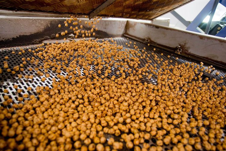 Leblebi gerçekten kilo yapar mı? Diyetin dostu mu, düşmanı mı? - Resim: 1