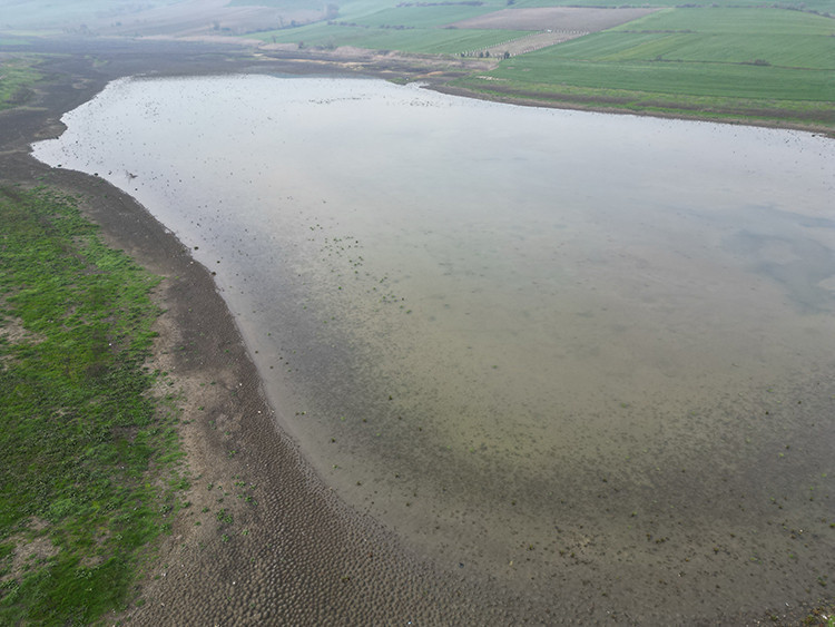 Çatlayan toprağa can suyu: Tekirdağ’da bereketli dönüş - Resim : 1