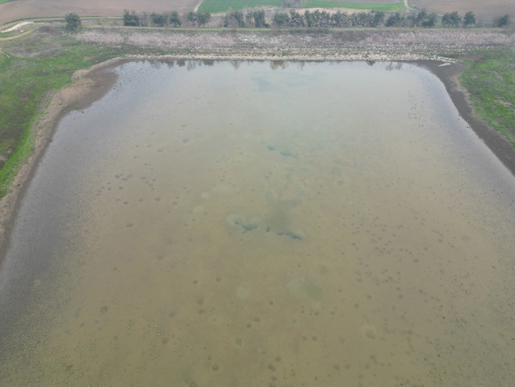 Çatlayan toprağa can suyu: Tekirdağ’da bereketli dönüş - Resim : 2