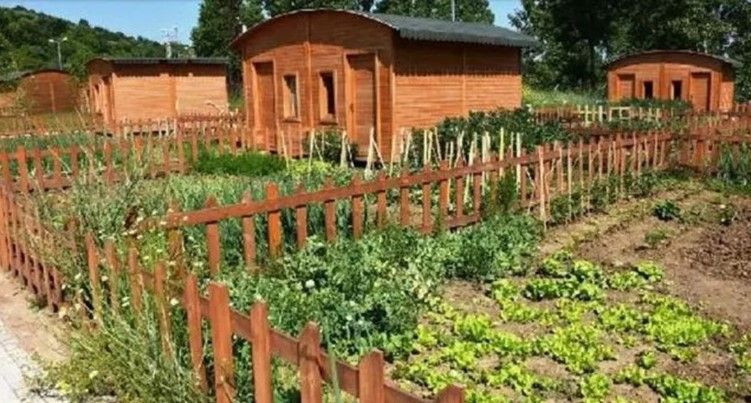 Hobi bahçesi için yeni düzenlemeler yolda: Ayrıntılar ortaya çıktı - Resim: 3
