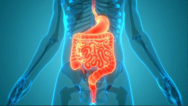 Gençlerde kolon kanseri alarmı: Neden artıyor? İşte bağırsakların en iyi dostları - Resim: 5