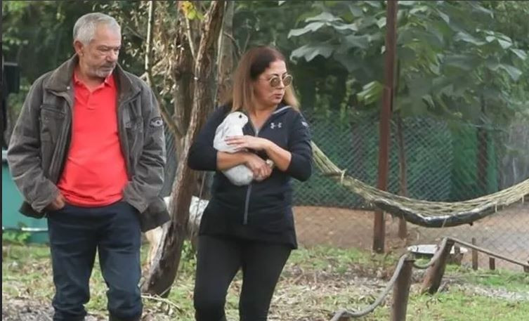 Ayşecik'in prensine yıllar acımasız davrandı: Yeşilçam’ın yakışıklı jönü Sertan Acar'ı görenler gözlerine inanamadı - Resim: 15