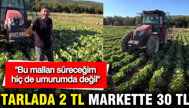 Çiftçinin marul isyanı: Tarlada 2 TL, markette 30 TL
