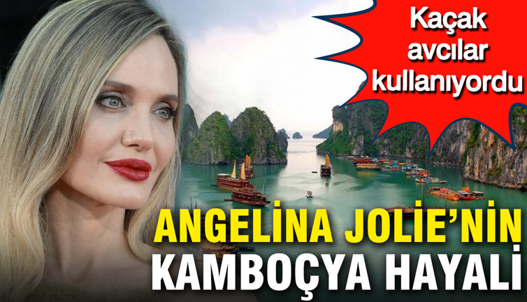 Angelina Jolie’nin Kamboçya’daki büyük projesi: 60 bin hektarlık mucize
