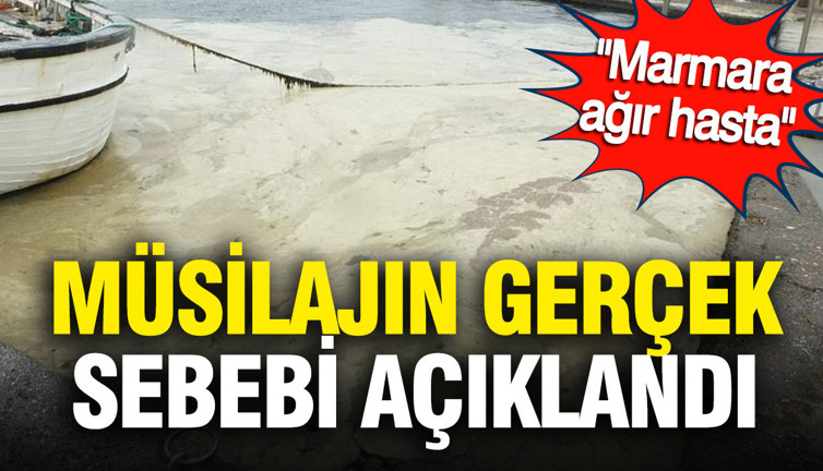 “Marmara ölü değil ama ağır hasta”: Müsilajın esas nedeni açıklandı