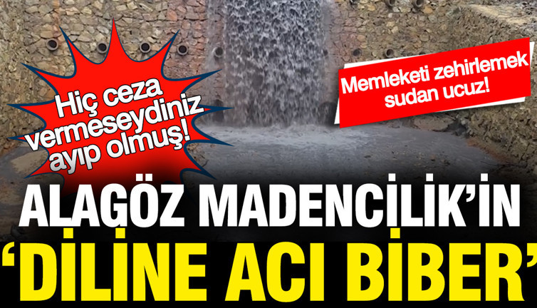 Alagöz Madencilik'in 'diline acı biber': Hiç ceza vermeseydiniz, ayıp olmuş