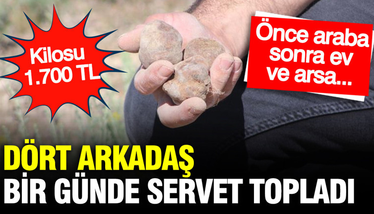 Dört arkadaş bir günde servet topladı: Kilosu 1.700 TL… Önce araba, sonra ev ve arsa
