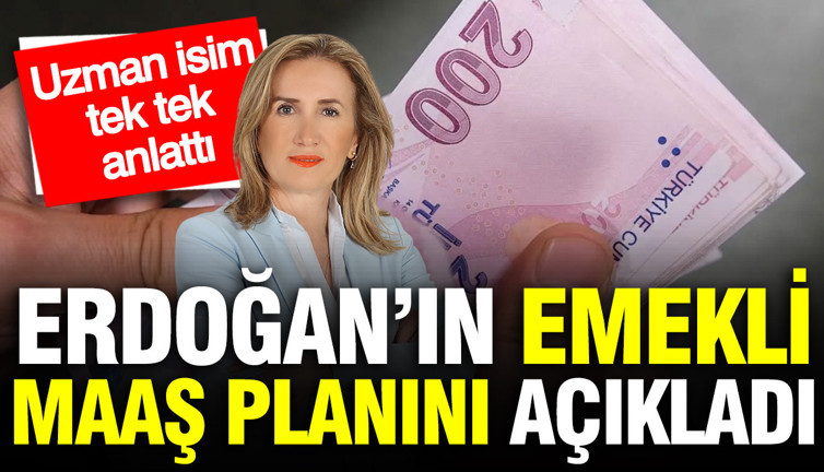 SGK uzmanı Dilek Ete, Erdoğan’ın emekli maaşı planını açıkladı