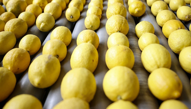 Türkiye'nin limon ihracatında konumu belli oldu