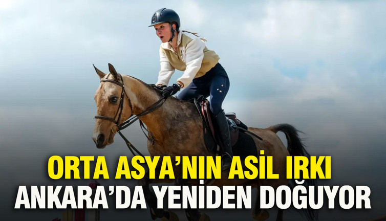 Orta Asya’nın asil ırkı Ankara’da yeniden doğuyor