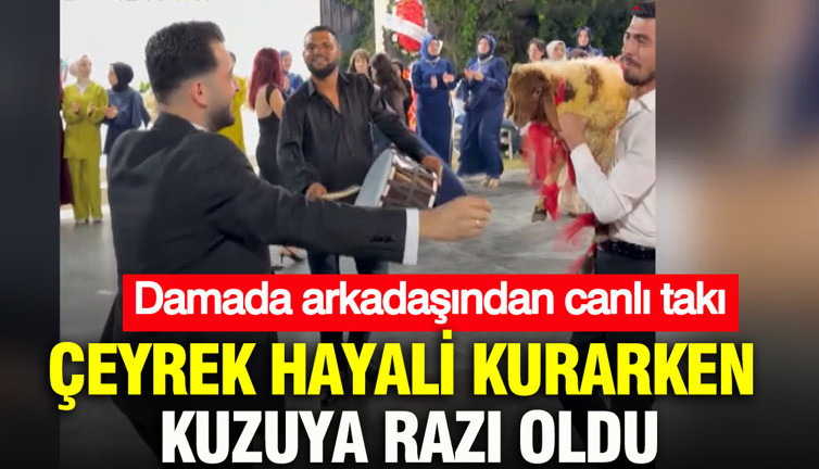 Çeyrek hayali kurarken kuzuya razı oldu: Damada arkadaşından canlı takı