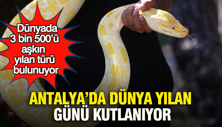 Antalya’da dünya yılan günü kutlanıyor: Dünyada 3 bin 500’ü aşkın yılan türü bulunuyor