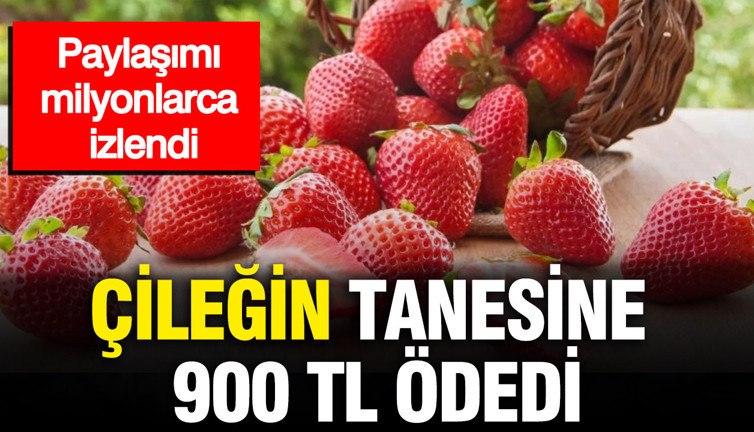 Çileğin tanesine 900 TL ödedi: Paylaşımı sosyal medyada milyonlarca izlendi