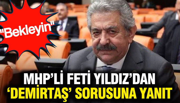 MHP'li Feti Yıldız'dan 'Demirtaş' sorusuna yanıt:'Bekleyin