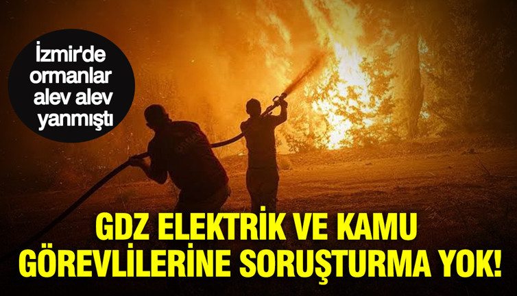 İzmir'de ormanlar alev alev yanmıştı: GDZ Elektrik ve kamu görevlilerine soruşturma yok