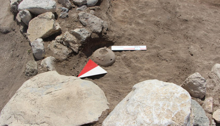 4 bin yıllık Hitit kabından çıktı: Sevgi Çiçeği'nin en eski tohumları bulundu
