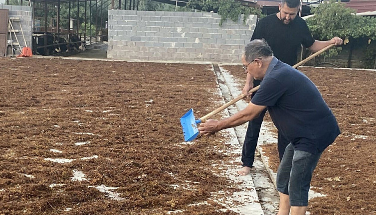 Randevu sistemi açıldı: Enerji verip demir eksikliğini gideriyor