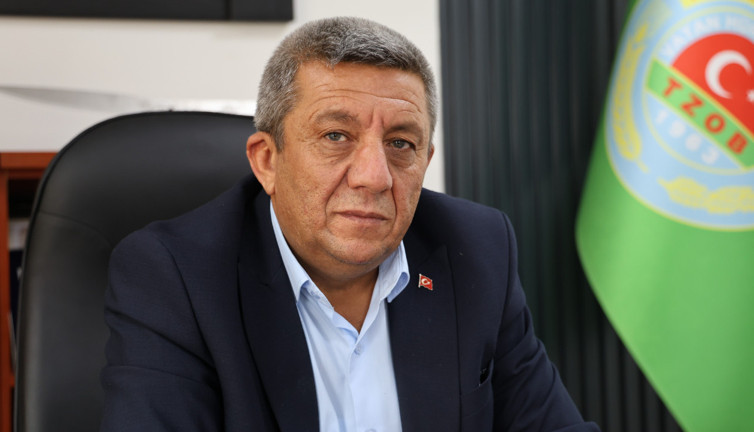 Hasat bitti ama tehlike geçmedi: Kırşehir'de sarı cüce alarmı