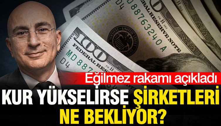 Mahfi Eğilmez rakamı açıkladı: Kur yükselirse şirketleri ne bekliyor?
